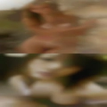 Upper class mature women